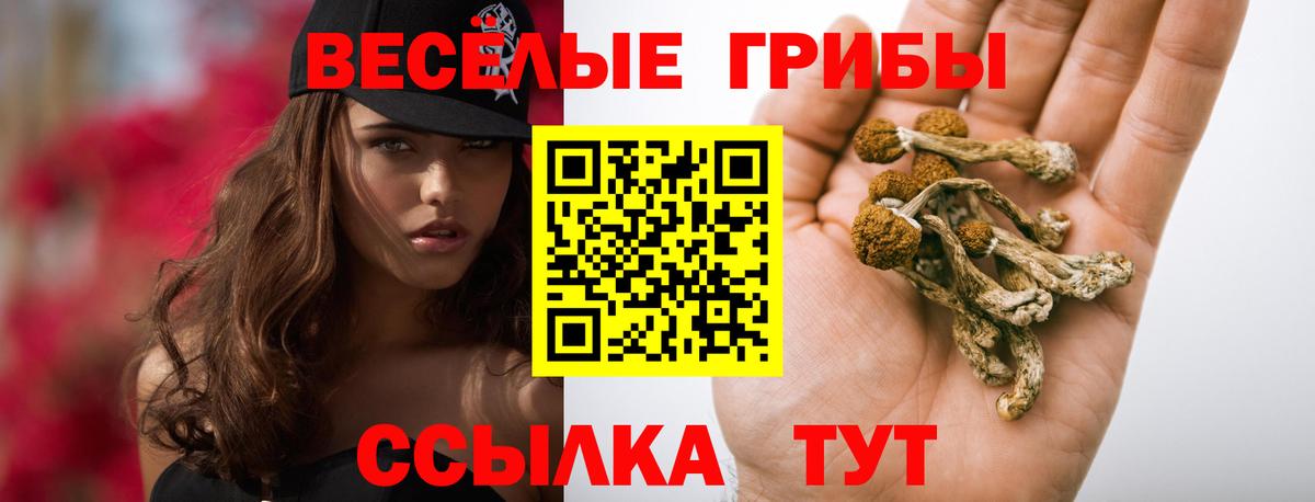Сердобск  Галлюциногенные грибы MAGIC MUSHROOMS  Галлюциногенные грибы Magic Shrooms  Вход с VPN 